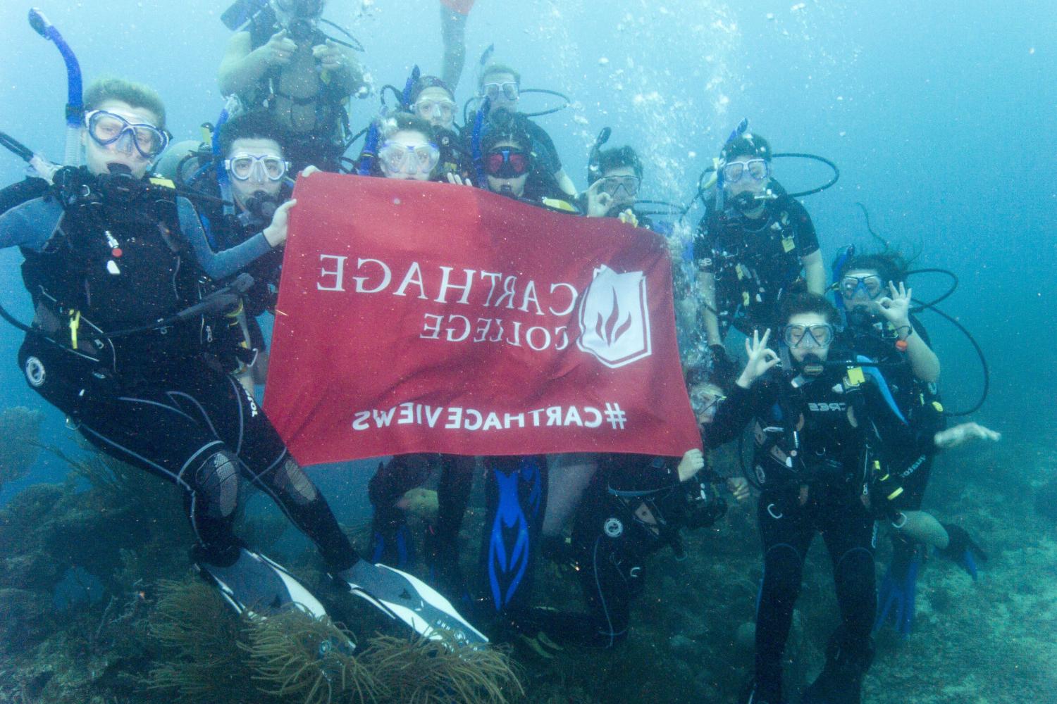 学生们手持<a href='http://a.ziyouniao.net'>博彩网址大全</a>旗帜，在j学期洪都拉斯游学之旅中潜水.